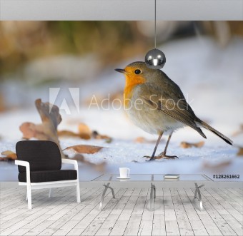 Picture of Wintering Robin walking in the snow